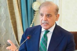 پیٹرولیم مصنوعات وافر مقدار میں موجود، عوام بچت مہم میں حصہ لیں: وزیراعظم