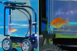 گولڈ فِش نے منفرد گاڑی چلا کر عالمی ریکارڈ قائم کر دیا