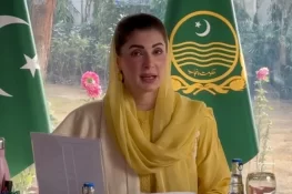 پنجاب میں 17 مقامات پر منی ڈیم بنانے کی تجویز