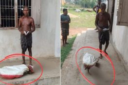 19 ہزار روپے کے لیے قبر کھود کر ڈھانچہ بینک لے جانے کا حیران کن واقعہ