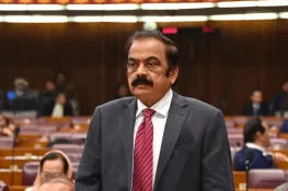 پاکستان نے مسلم دنیا میں کشیدگی روکنے میں کردار ادا کیا، رانا ثنااللہ