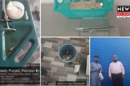 پنڈدادن خان میں غیر قانونی ڈینٹل کلینک بند، محکمہ صحت کی کارروائی