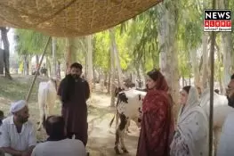 ڈپٹی کمشنر گجرات کا سرائے عالمگیر مویشی منڈی کا تفصیلی جائزہ