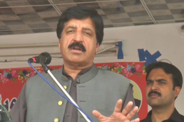 28ویں آئینی ترمیم کی حمایت کا فیصلہ شقیں دیکھ کر کریں گے، گورنر پنجاب