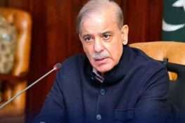 پُرامن معاشرہ قومی ذمہ داری ہے، وزیراعظم شہباز شریف