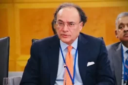 وزیر خزانہ: بجٹ میں عوام پر کم سے کم بوجھ ڈالنے کی کوشش کی جا رہی ہے