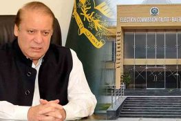 گلگت بلتستان انتخابات: نواز شریف کو سیاسی سرگرمیوں کی اجازت، آج اہم دورہ متوقع