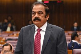 رانا ثنااللہ کا مؤقف: کشمیر کے پاکستان سے الحاق سے متعلق شق نکالنے کا مطالبہ کیا گیا تھا