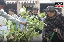ڈپٹی کمشنر گجرات کی ڈنگہ میں شجرکاری مہم میں شرکت، بیوٹیفکیشن منصوبوں کا جائزہ