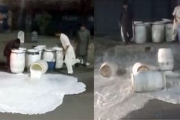 جہلم: پنجاب فوڈ اتھارٹی کی بڑی کارروائی، 700 لیٹر ناقص دودھ تلف، بھاری جرمانے