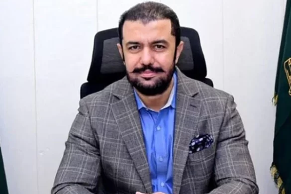 پاکستان نے پہلی بار 4,722 ارب روپے کا قرض قبل از وقت واپس کر دیا، مشیر خزانہ