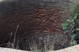 بہاولنگر میں افسوسناک حادثہ، بکری کو بچانے کی کوشش میں 3 نوجوان جان کی بازی ہار گئے