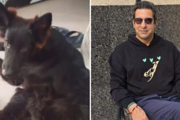 وسیم اکرم کے پالتو کتے "ڈیوک” کی تلاش جاری، تلاش کرنے والے کے لیے ڈھائی لاکھ روپے انعام
