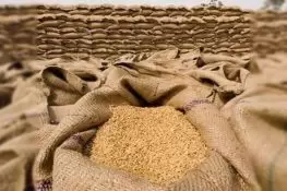 پنجاب اور سندھ میں لاکھوں ٹن گندم کے ریکارڈ میں فرق، بحران پر تشویش بڑھ گئی