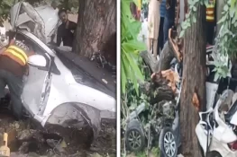 کنال روڈ پر تیز رفتار گاڑی درخت سے جا ٹکرائی، 5 نوجوان جان سے گئے