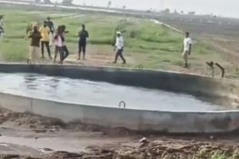 بھارت میں کنویں کے پانی کی پراسرار حرکت، ویڈیو سوشل میڈیا پر وائرل