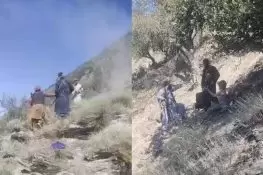 پاکستان نے نورستان میں مبینہ تشدد سے متعلق افغان طالبان کے الزامات مسترد کردیے