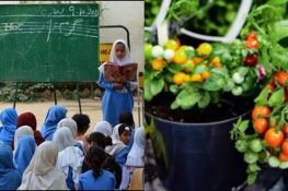 سرکاری اسکولوں میں تعلیم کے ساتھ اب سبزیاں بھی اگانا ہونگی، مراسلہ جاری