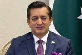 طالبان حکومت ٹی ٹی پی، بی ایل اے اور دیگر دہشتگرد تنظیموں کو پناہ دے رہی ہے، پاکستان