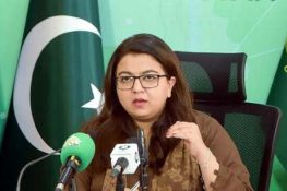 پاکستان میں انٹرنیٹ کی رفتار اور کنیکٹیویٹی بہتر بنانے کے لیے نئی کیبل روٹس پر کام جاری ہے: شزہ فاطمہ