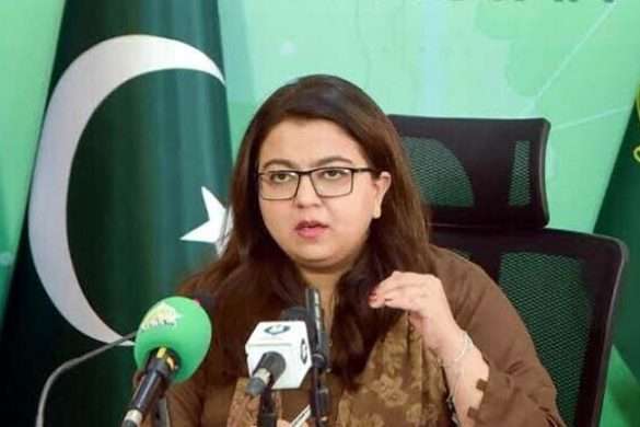 پاکستان میں انٹرنیٹ کی رفتار اور کنیکٹیویٹی بہتر بنانے کے لیے نئی کیبل روٹس پر کام جاری ہے: شزہ فاطمہ
