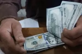 پاکستانی فری لانسرز نے ستمبر میں ریکارڈ 197 ملین ڈالر زرمبادلہ کما لیا